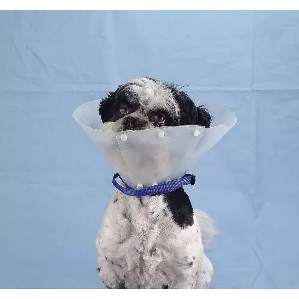 Online Adjustable Strap To Secure Elizabethan Style Collar Health Aids