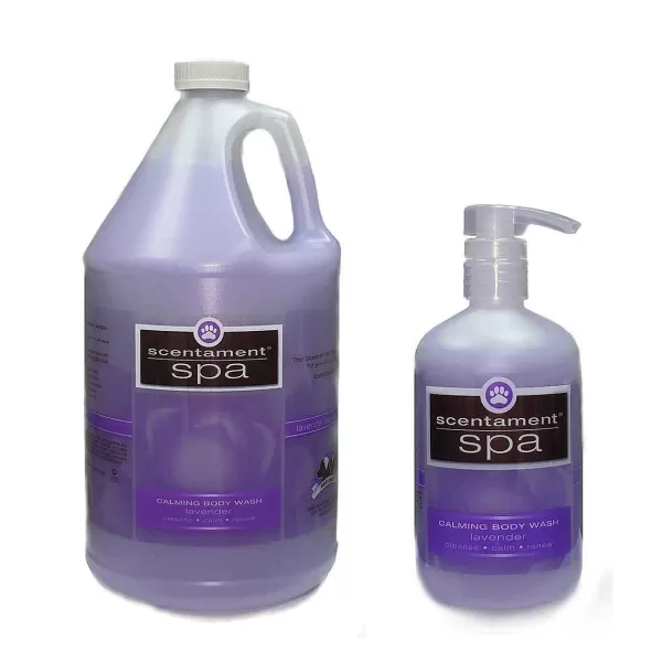 Shop Best Shot Lavender Aloe Calming Body Wash 10:1 Shampoo