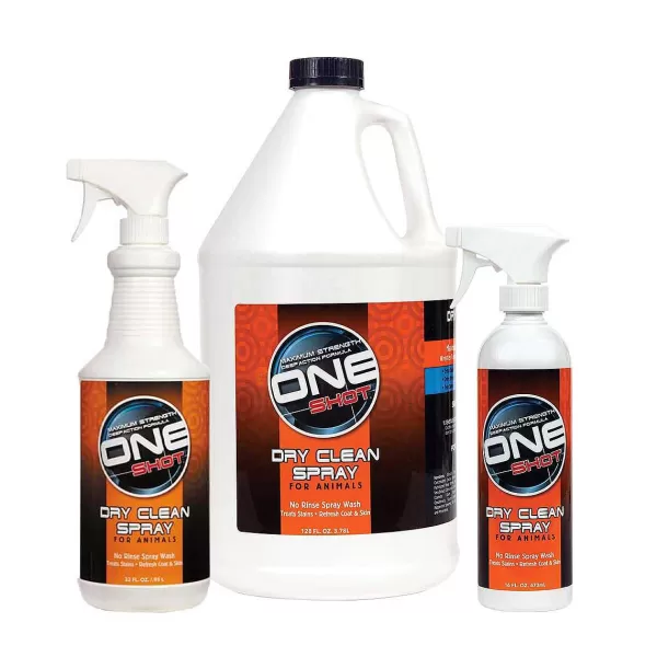 Online Best Shot One Shot Dry Clean Spray Shampoo