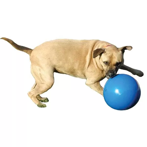 Clearance Boomer Ball Large 8" Dog Toys