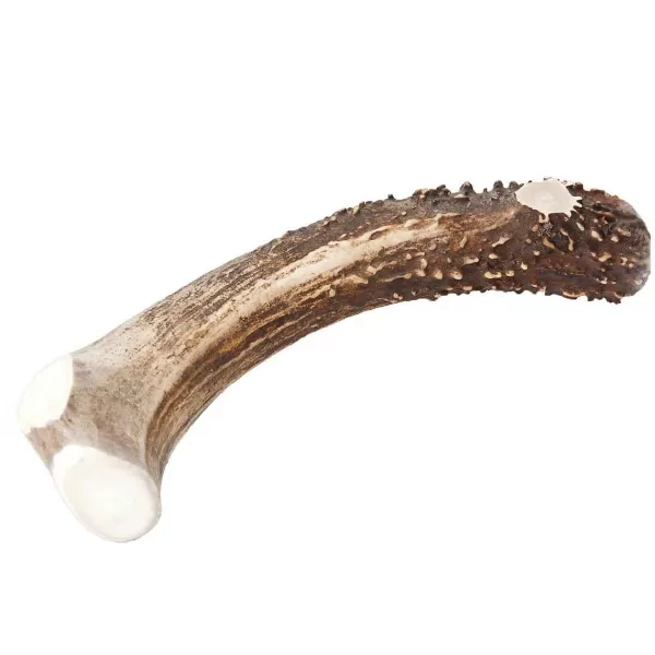 Fashion Chasing Our Tails Deer Antler Snacks Dog Treats