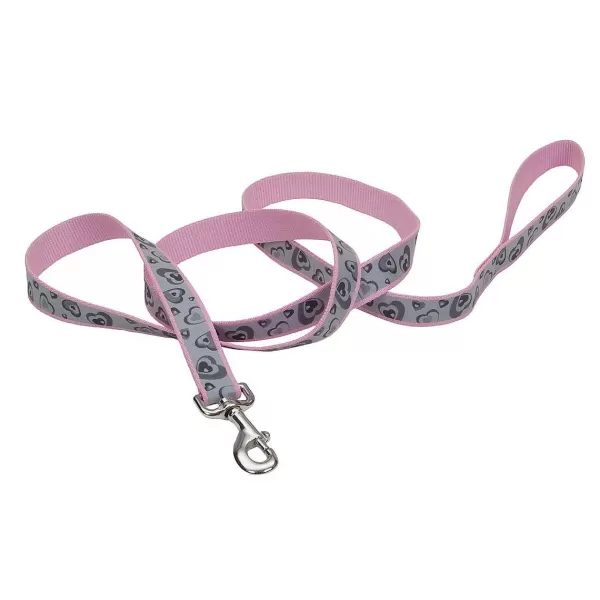 Online Coastal Lazer Brite Reflective Dog Leash - 1" X 6' Leads & Leashes