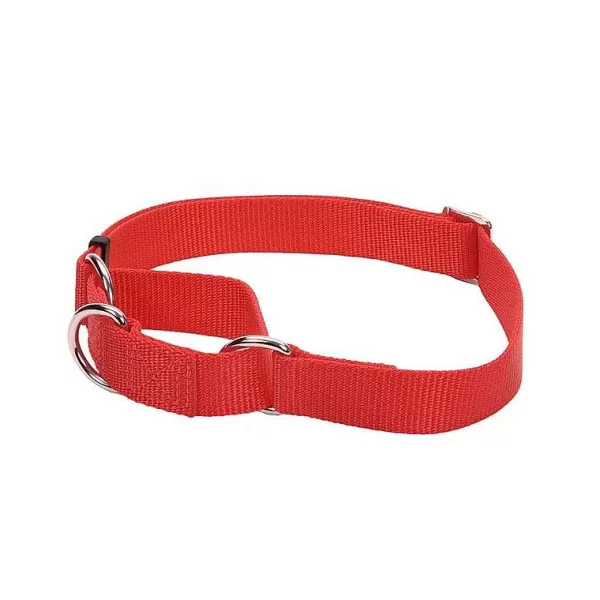 Hot Coastal No Slip! Martingale Collar - Large 1" Collars