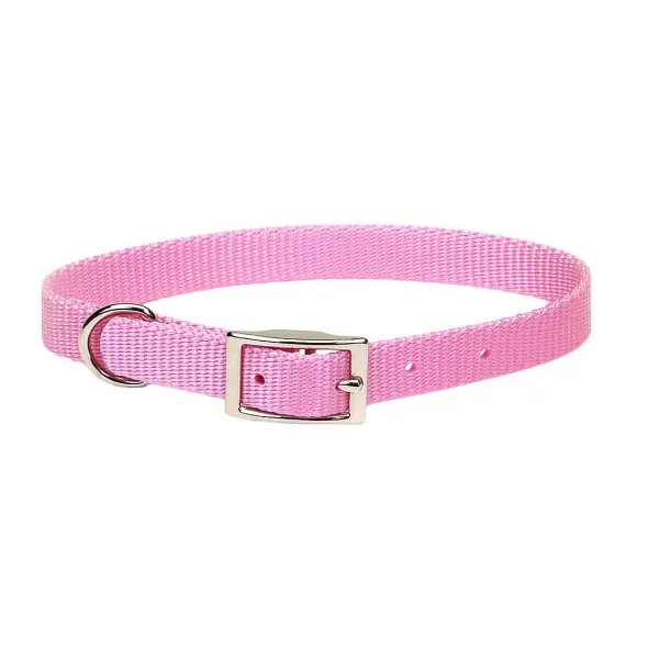 Hot Coastal Nylon Dog Collars 5/8'' Collars