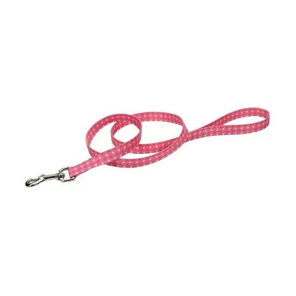 Outlet Coastal Nylon Dog Leash (4' X 3/4'') Collars