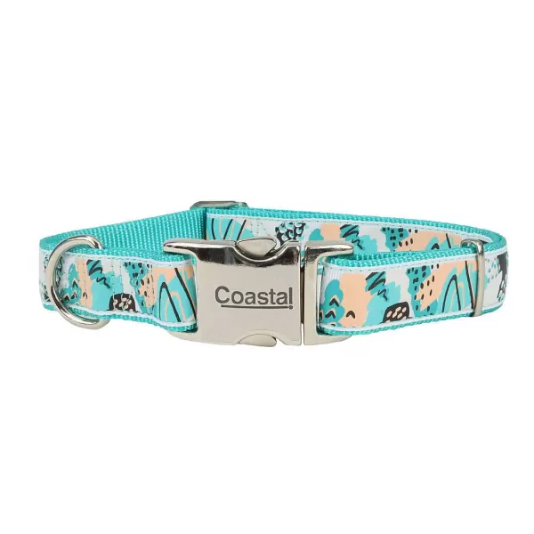 Clearance Coastal Ribbon Adjustable Dog Collar With Metal Buckle Collars