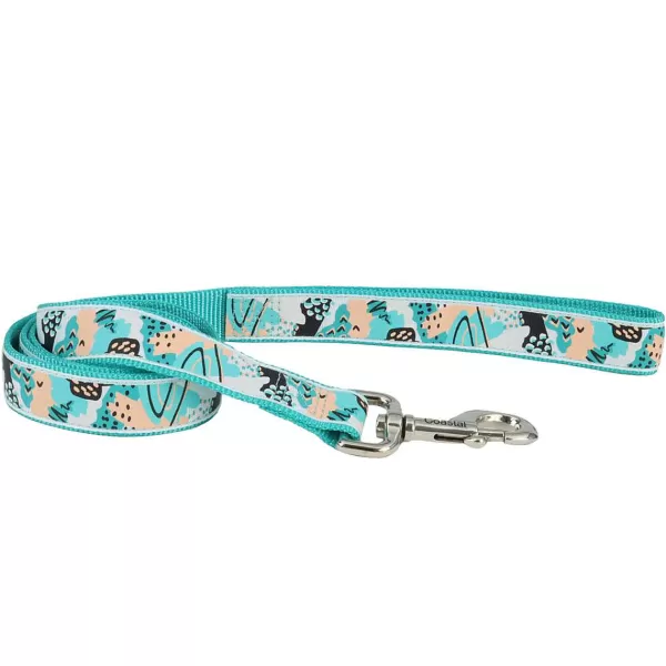 Flash Sale Coastal Ribbon Dog Leash 5/8" X 6' Leads & Leashes