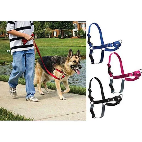 Best Sale Easy Walk Harness For Large Dogs 60 - 130 Lbs Harnesses