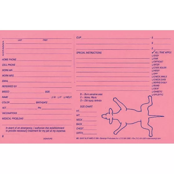 Hot Giant Klip Kards - Pink 100 Count Business Supplies