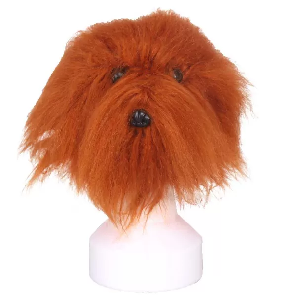 Hot Groomers Model Dog Hair Brown Education