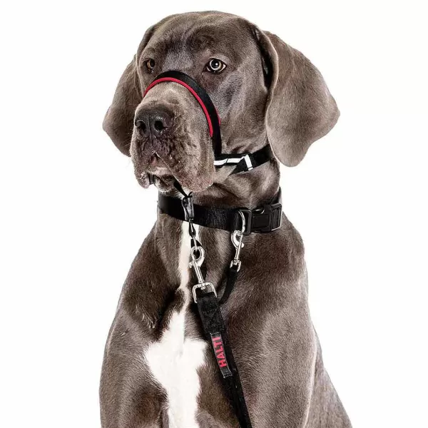 Hot Halti Optifit Large Muzzles & Handling Products