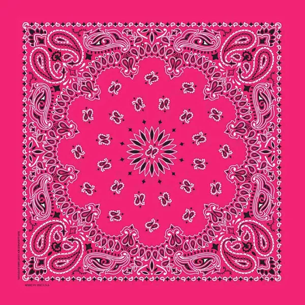 New Hot Pink Paisley Dog Bandana Bandanas