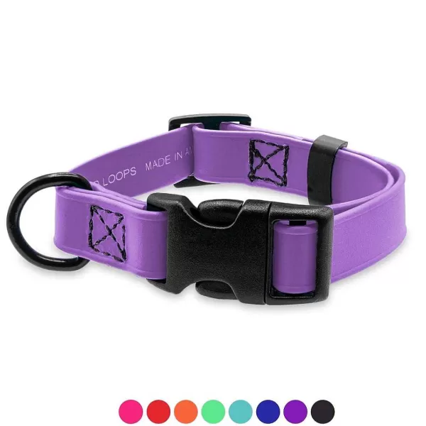 Fashion Jelly Pet Biothane® Dog Collar - Medium 1'' X 13''-20'' Collars