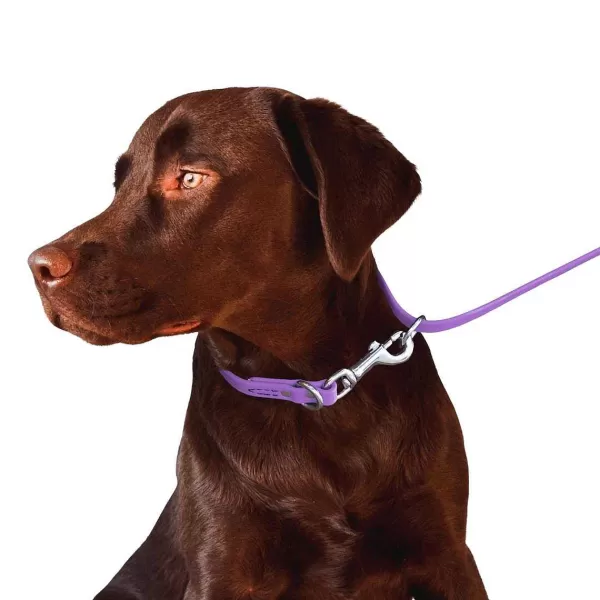 Cheap Jelly Pet Biothane Multi-Purpose Dog Leash - 5/8'' Leads & Leashes