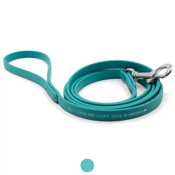 Best Jelly Pet Leash Standard Dog Leash 3/8'' X 6' Leads & Leashes