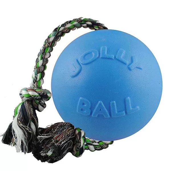 New Jolly Pet Romp-N-Roll Blueberry Medium Dog Toys