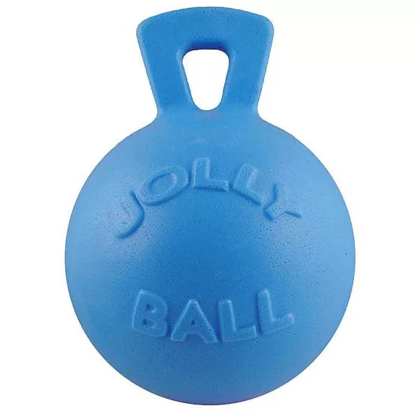 Clearance Jolly Pet Tug-N-Toss Blueberry Large Dog Toys