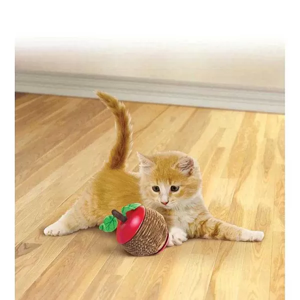 Flash Sale Kong Scratch Apple Cat Toys & Treats