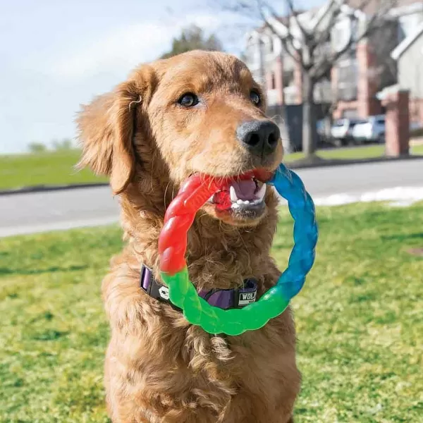 Outlet Kong Twistz Ring Small Dog Toys