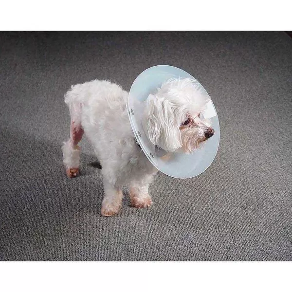 Clearance Kvp Saf-T-Shield Elizabethan Collar - Large Health Aids