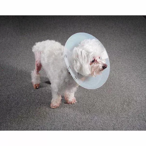 Sale Kvp Saf-T-Shield Elizabethan Collar - Small Health Aids