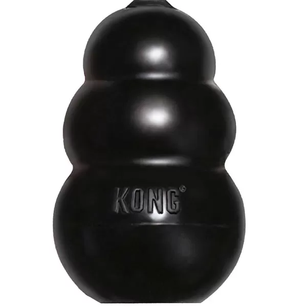 Online Large Kong® Extreme 4" Dog Toys