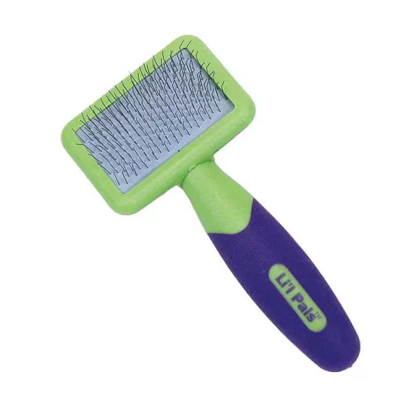 Cheap Li'L Pals Slicker Brush Grooming Tools