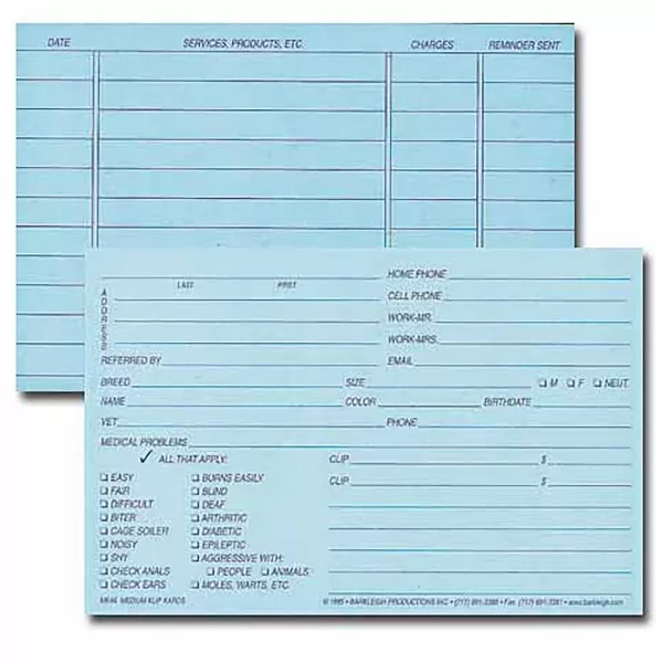 Fashion Medium Klip Kards- Blue 100 Count Business Supplies