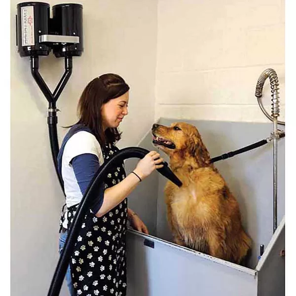 Shop Metrovac Air Force Twin Turbo High Velocity Dog Dryer Grooming Dryers