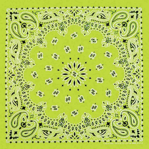 Online Neon Green Paisley Pet Bandana Bandanas