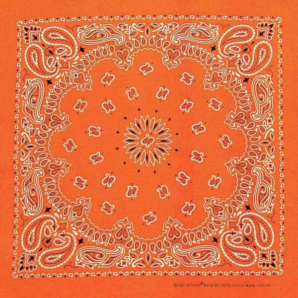 Clearance Neon Orange Paisley Pet Bandana Bandanas