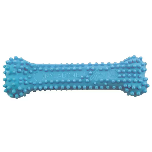 New Nylabone Puppy Chew Dental Blue Dog Toys