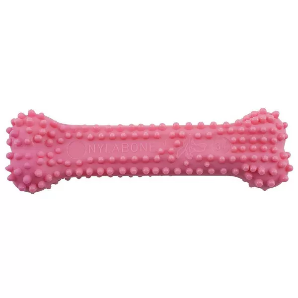 Hot Nylabone Puppy Chew Dental Pink Dog Toys