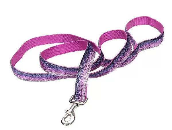 Cheap Pet Attire Sparkles Leash 1" X 6' Clearance