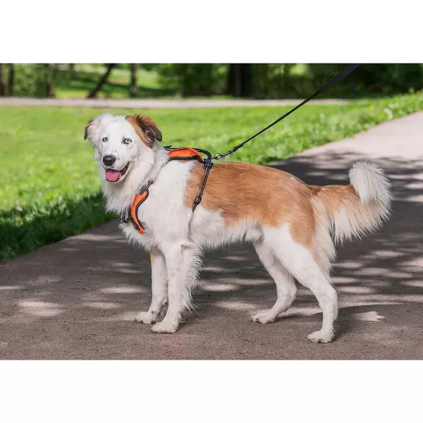 New Petsafe® Walk Along Outdoor Harness Harnesses