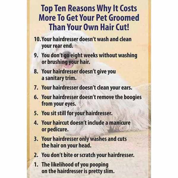 Flash Sale 10 Reasons Poster 11 X 17 W/ Mat Frame Business Supplies