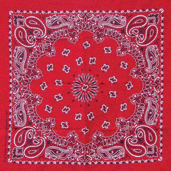 Outlet Red Paisley Pet Bandana Bandanas