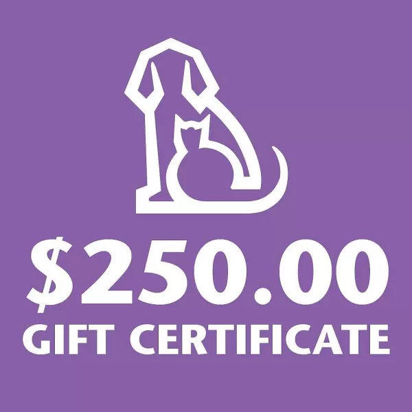 Store Gift Certificate - $250 Seasonal