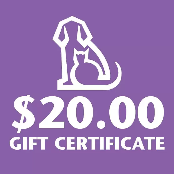 Fashion Gift Certificate - $20 Seasonal