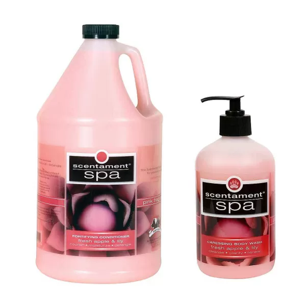 Cheap Scentament Spa Caressing Body Wash Apple And Lilly Shampoo