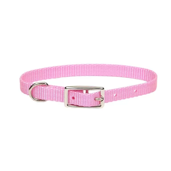 Store Small Dog Nylon Collars 3/8" Collars