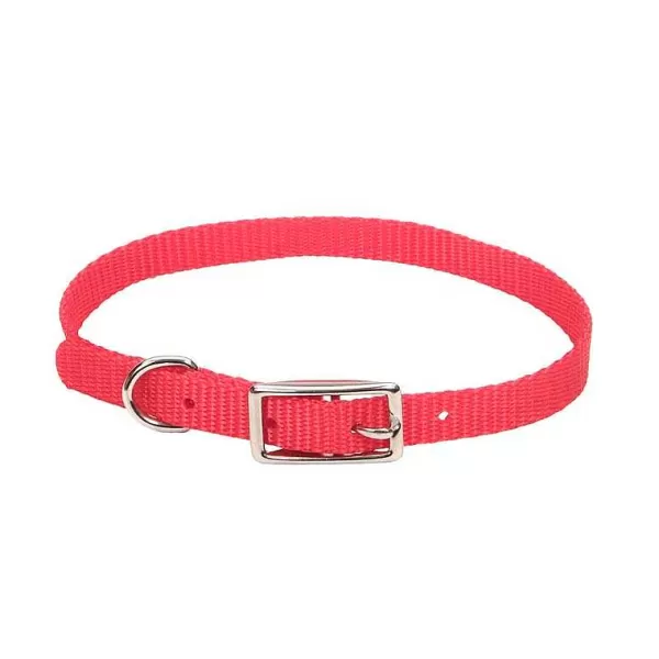 Store Small Dog Nylon Collars 3/8" Collars