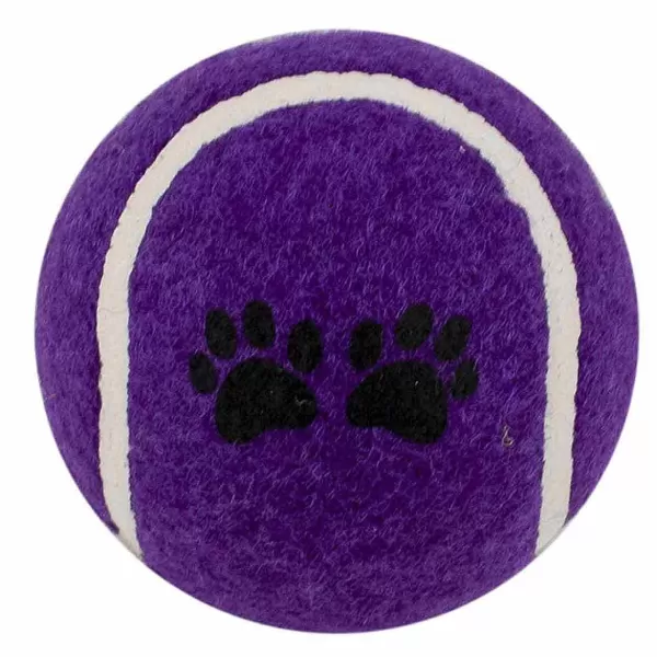 Clearance Tennis Ball 2.5" Assorted Dog Toys